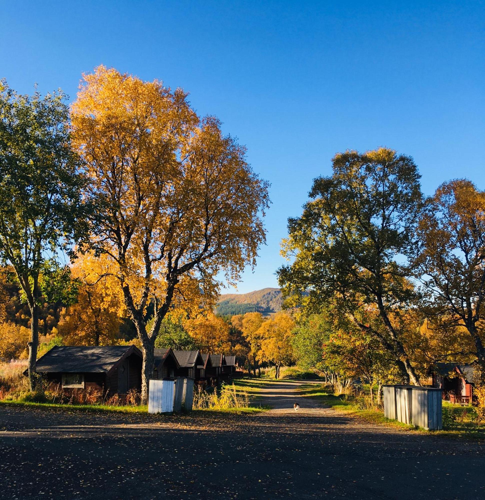Sortland Camping Og Motell As Экстерьер фото
