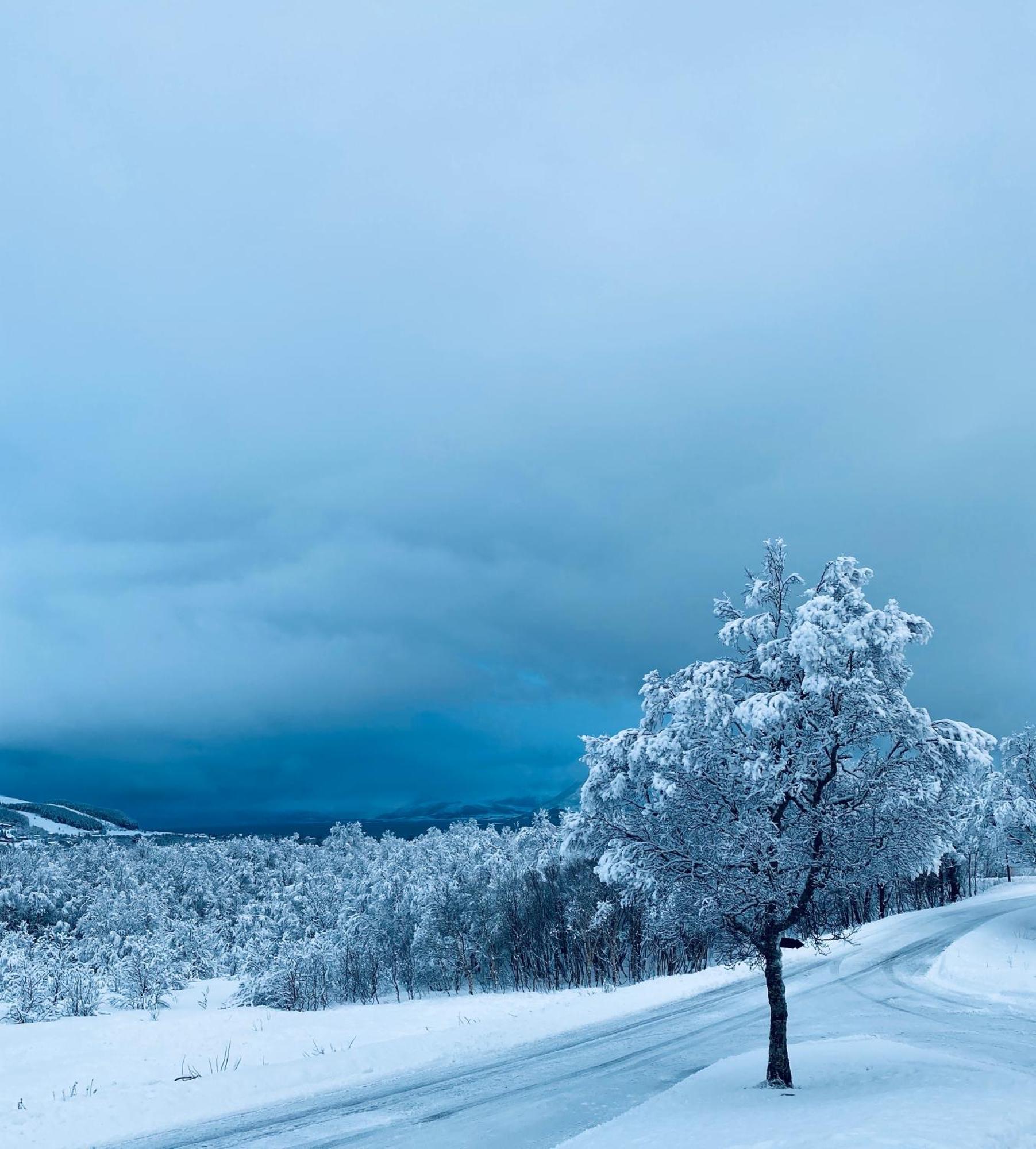 Sortland Camping Og Motell As Экстерьер фото