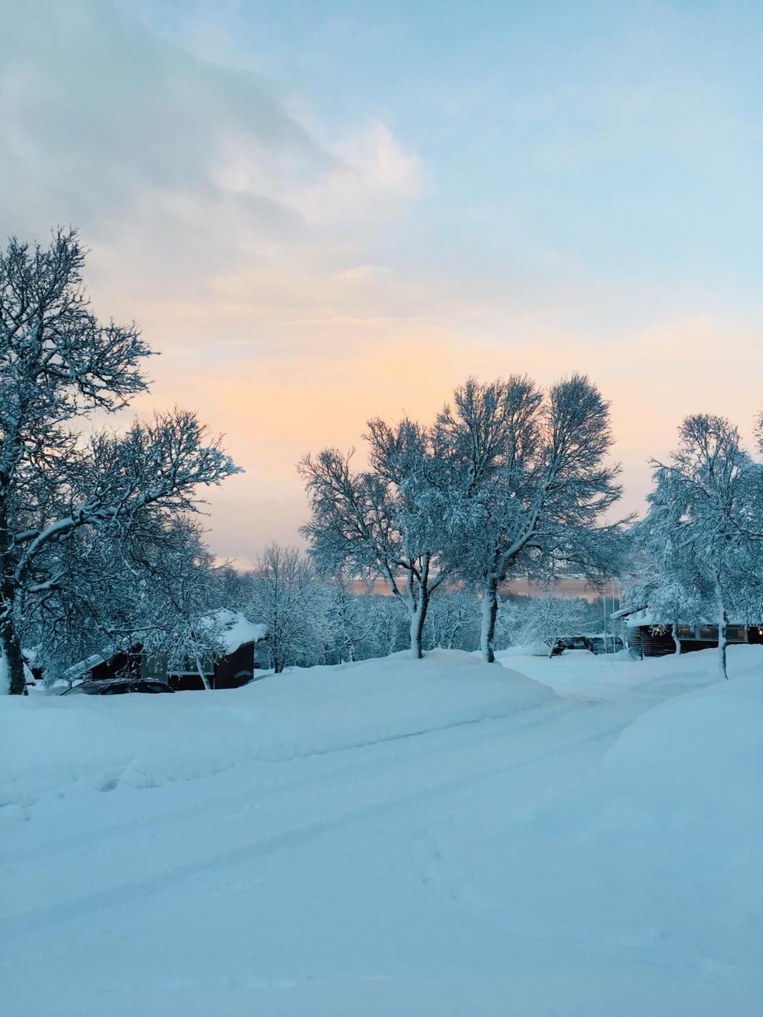 Sortland Camping Og Motell As Экстерьер фото