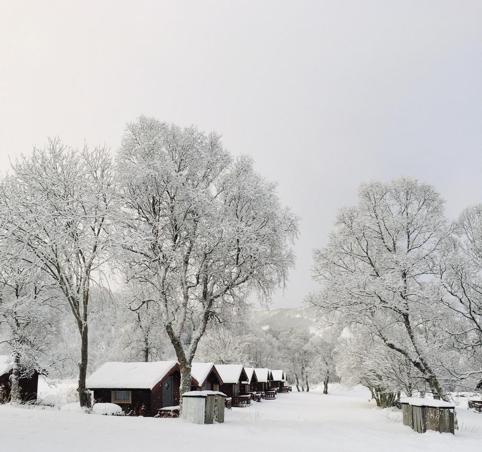 Sortland Camping Og Motell As Экстерьер фото