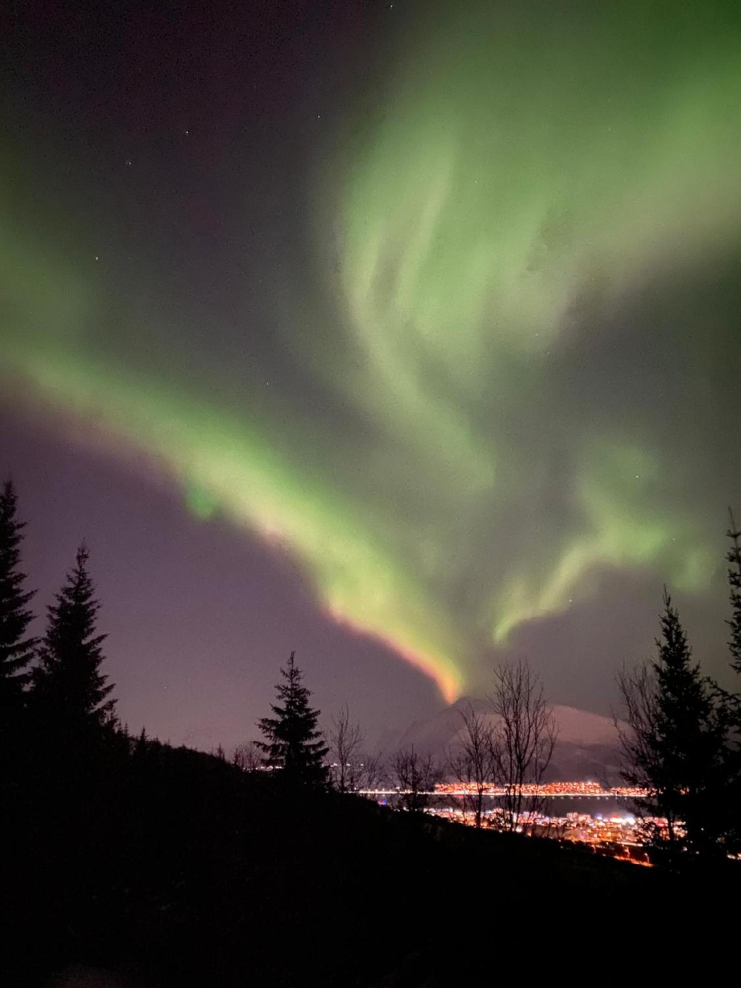 Sortland Camping Og Motell As Экстерьер фото